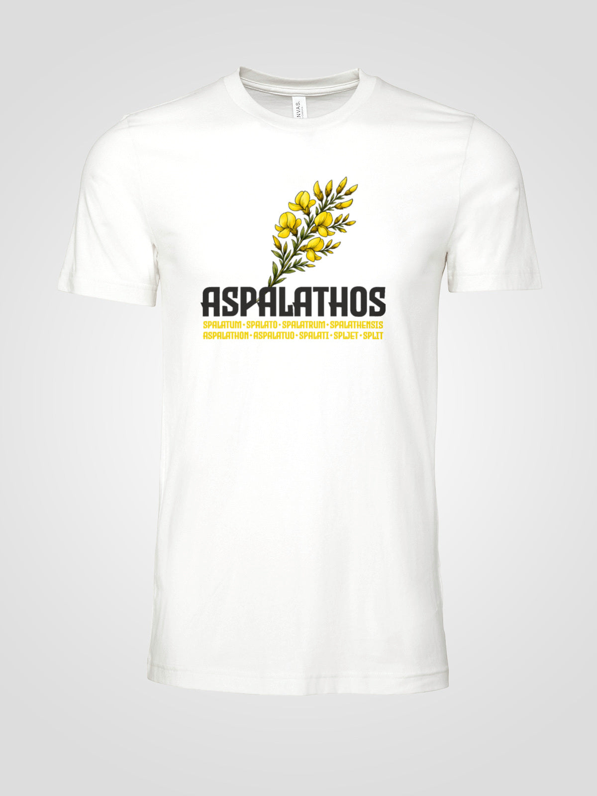 Aspalathos